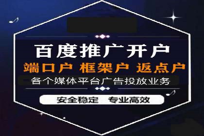 百度品牌专区推广：打造品牌形象的新途径